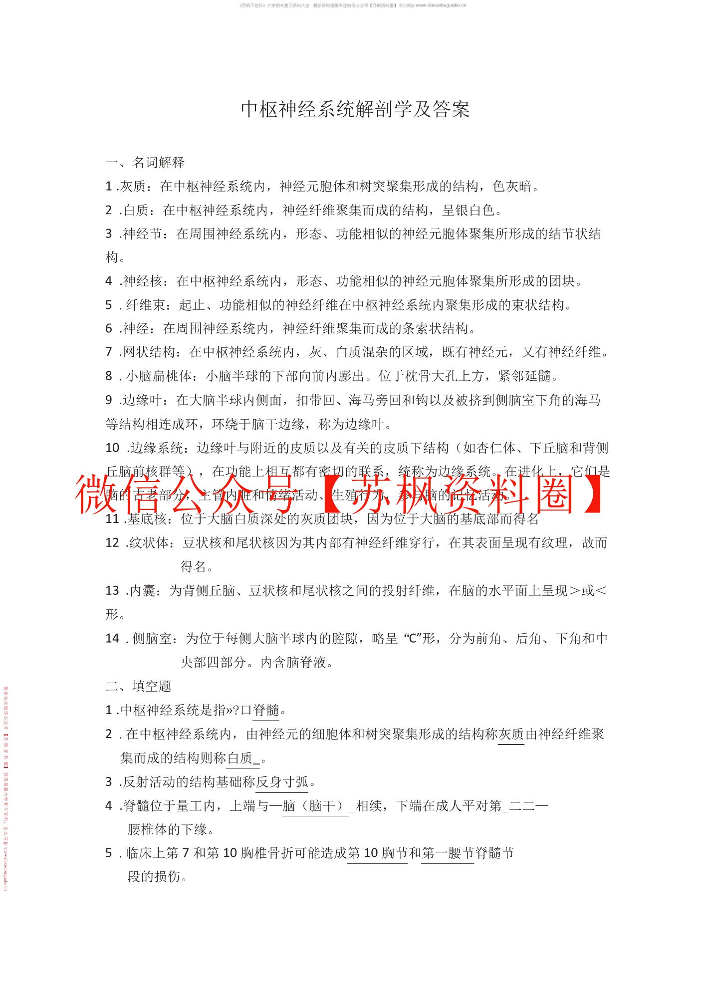 中枢神经系统